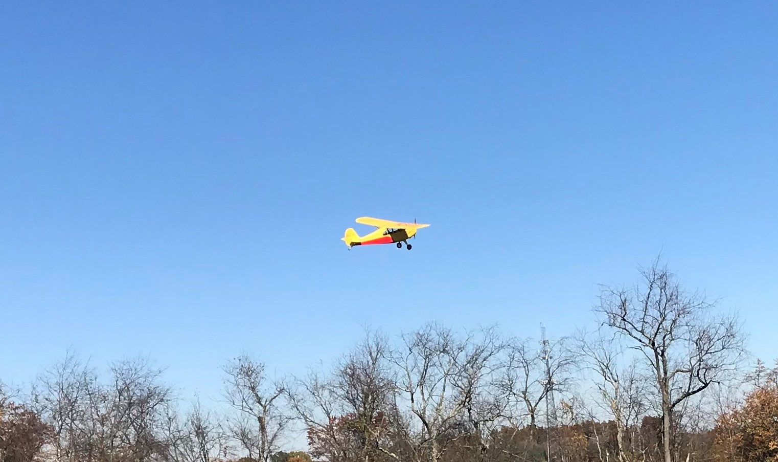 F812D9FA-6EE5-4C1E-8FF1-5D9F1D760D0E (1).jpg