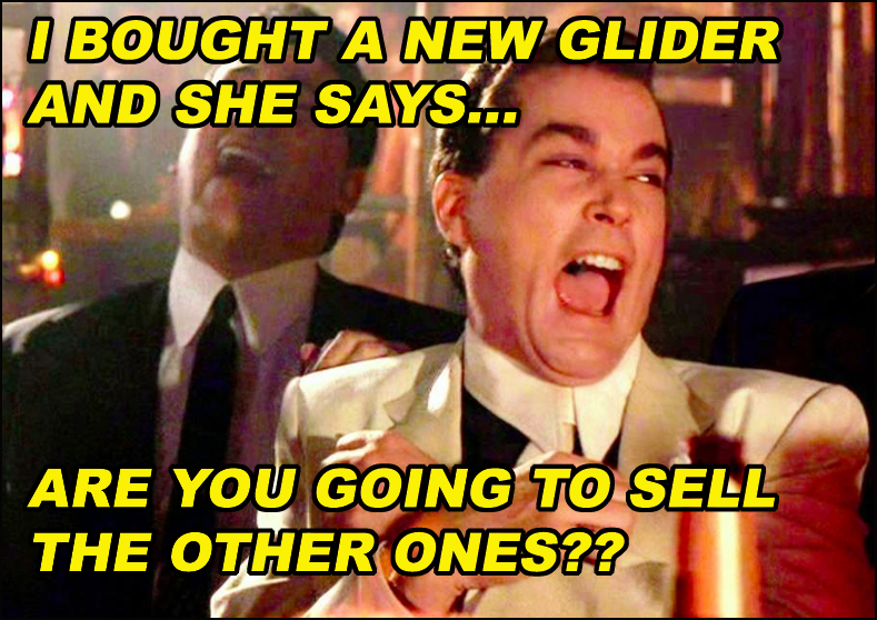 I bought a new glider.jpg