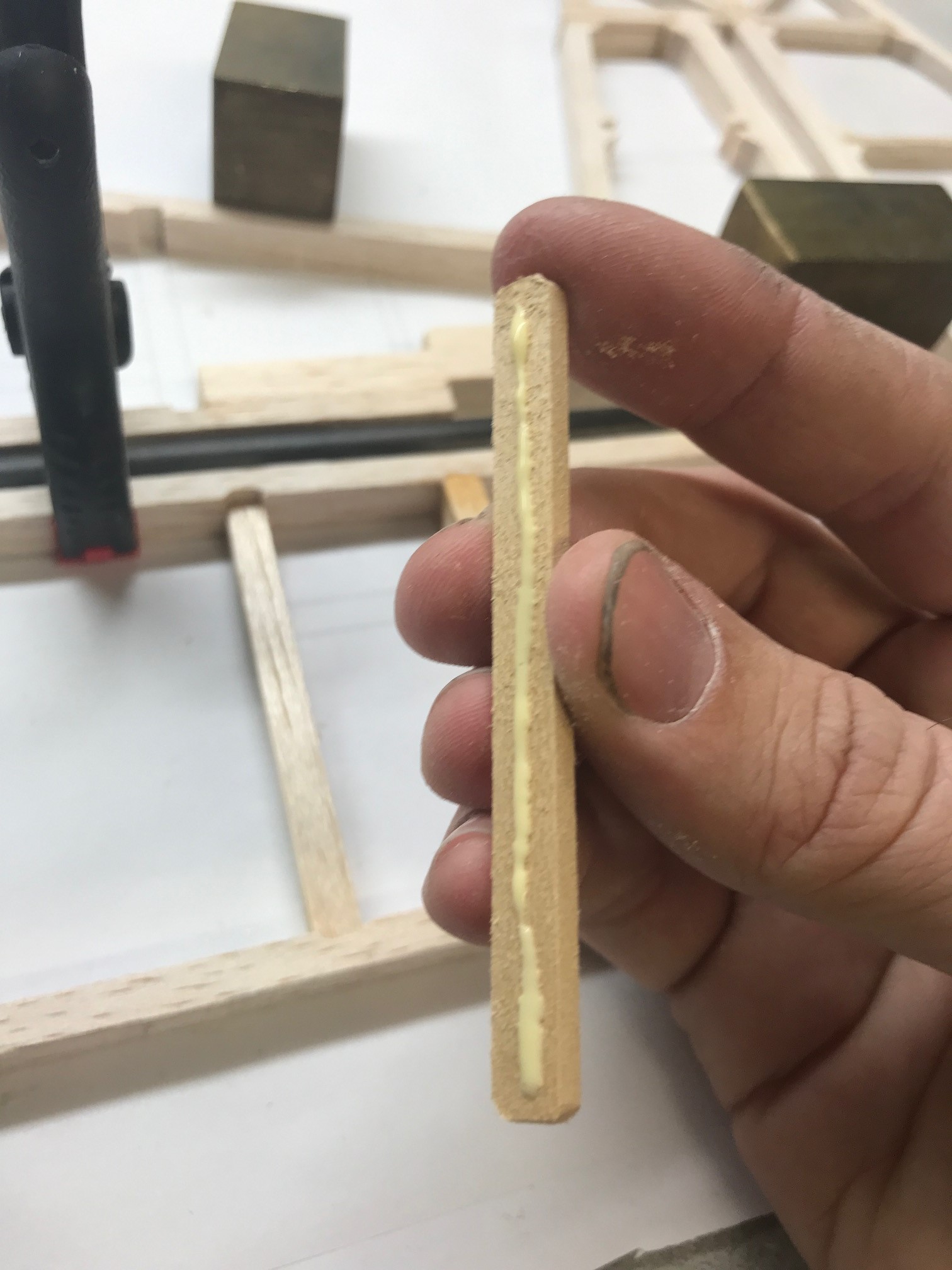 IMG_5588.JPG IMG_5588.JPG