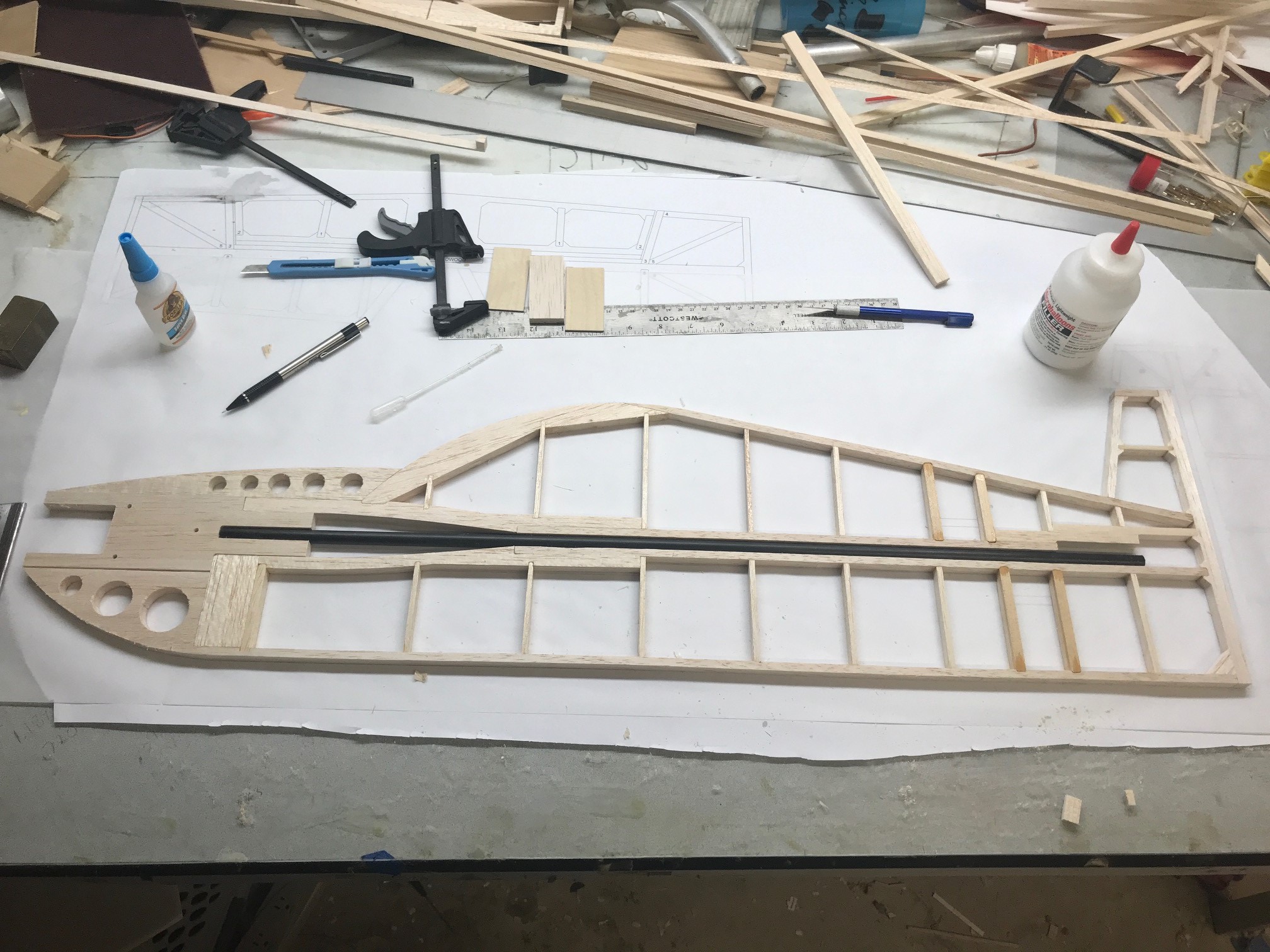 IMG_5590.JPG IMG_5590.JPG