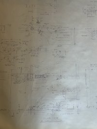 IMG_7312.jpeg