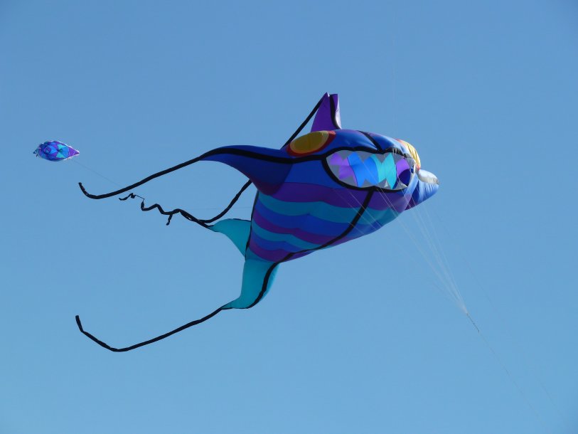 Monster_fish_kite_at_Morecambe_Kite_Festival.jpg