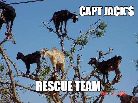 rescue goats.png