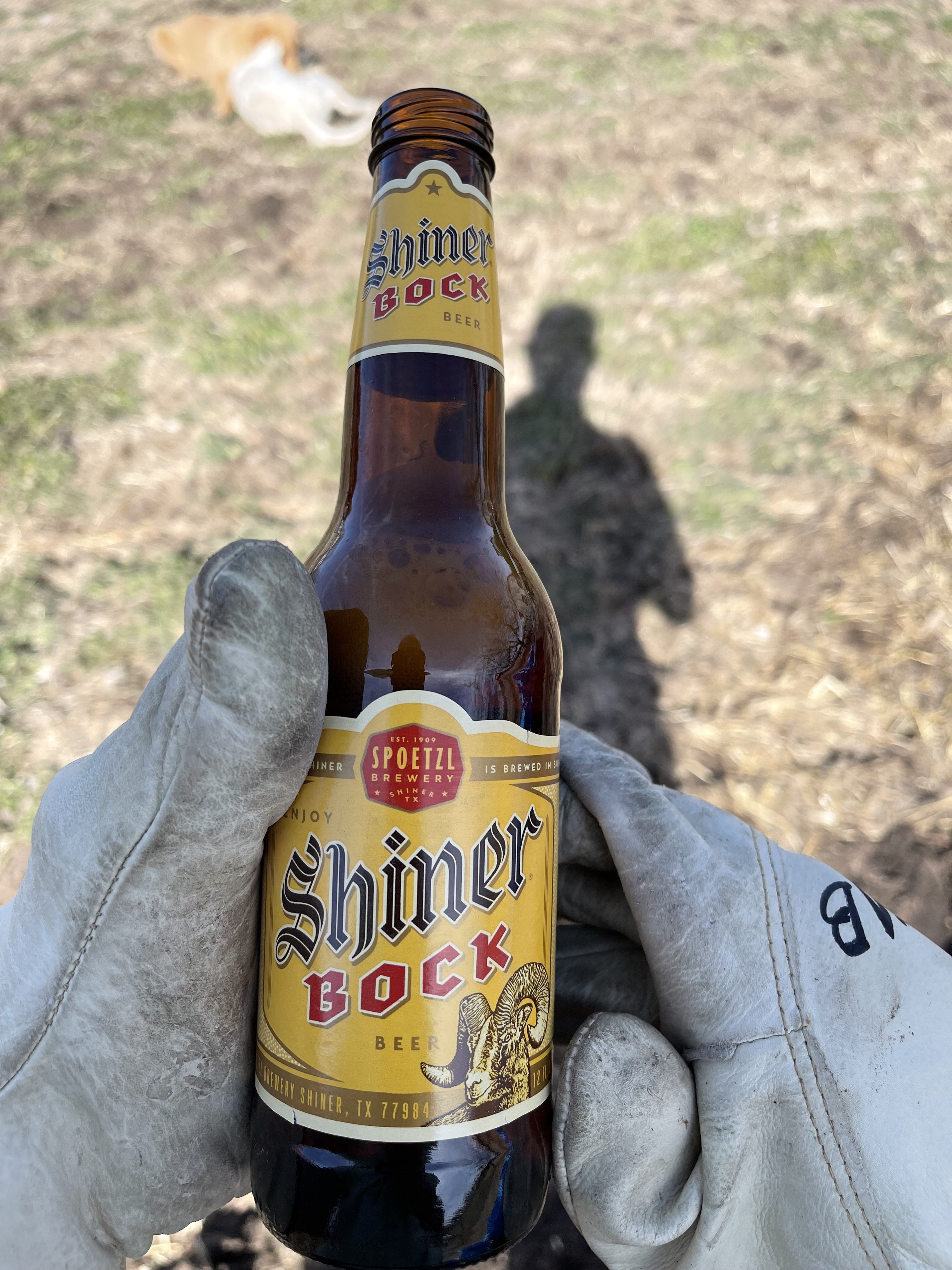 Shiner1.jpg