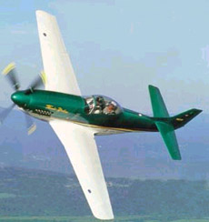 Thunder Mustang-1.jpg