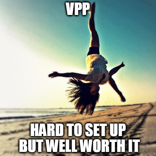 VPP CHICK.png