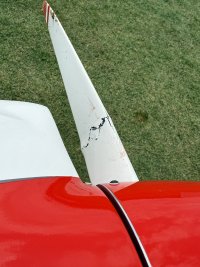 IMG_9237.jpeg