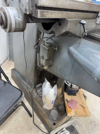 IMG_7384-compressed.jpeg