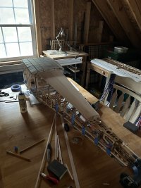 IMG_7569.jpeg