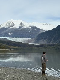 IMG_2995.jpeg