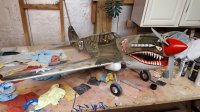 P-40 completed 1 right.jpg