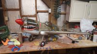 P-40 completed.jpg